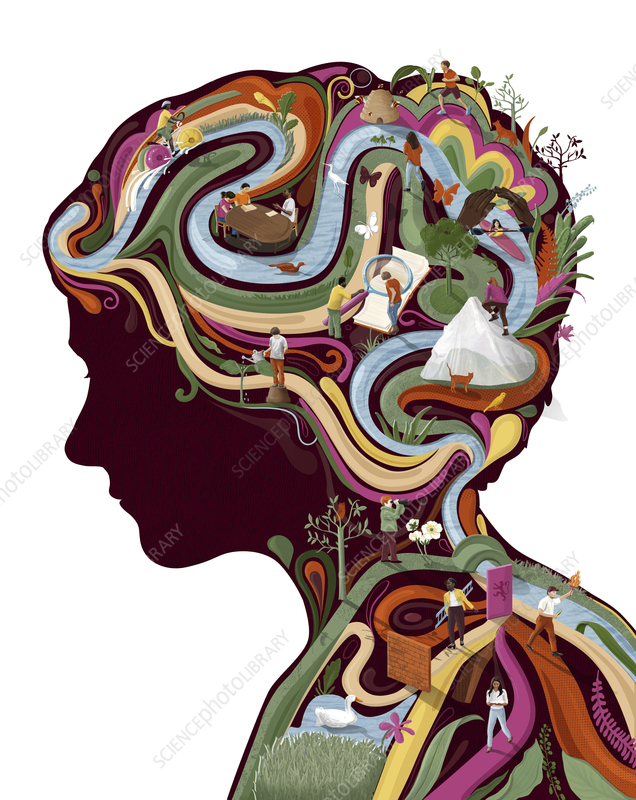 From Zero to Mastery